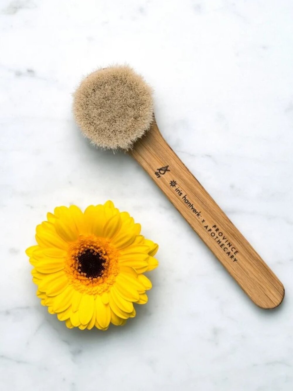 Province Apothecary Daily Glow Facial Dry Brush